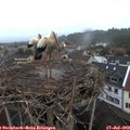 20_00-nest.jpg
