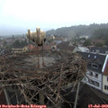 20_05-nest.jpg