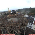 20_10-nest.jpg