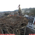 06_05-nest.jpg