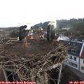 06_45-nest.jpg