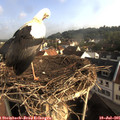 07_55-nest.jpg