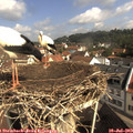 10_00-nest.jpg