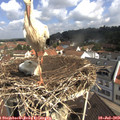 10_35-nest.jpg