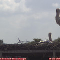 10_45-mast.jpg