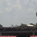 11_30-mast.jpg