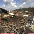 11_35-nest.jpg