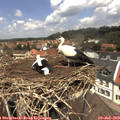 12_40-nest.jpg