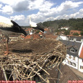 13_25-nest.jpg