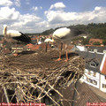 13_40-nest.jpg