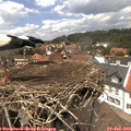 14_00-nest.jpg