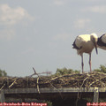 14_05-mast.jpg