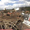 14_05-nest.jpg