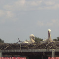14_35-mast.jpg