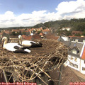 14_40-nest.jpg