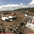 14_45-nest.jpg