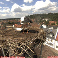 14_55-nest.jpg