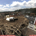 15_00-nest.jpg