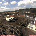 15_05-nest.jpg