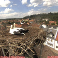 15_10-nest.jpg