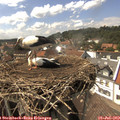 15_25-nest.jpg
