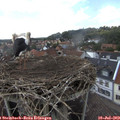 15_45-nest.jpg
