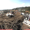 17_35-nest.jpg