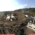 17_55-nest.jpg