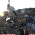 20_10-nest.jpg