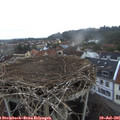 05_45-nest.jpg