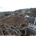 05_50-nest.jpg