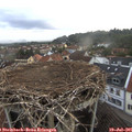 05_55-nest.jpg