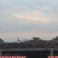 06_00-mast.jpg