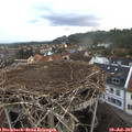 06_00-nest.jpg