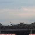 06_05-mast.jpg