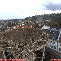 06_05-nest.jpg
