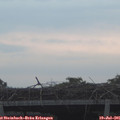 06_10-mast.jpg