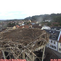 06_10-nest.jpg