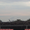 06_25-mast.jpg