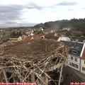 06_25-nest.jpg