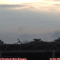 06_30-mast.jpg