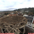 06_30-nest.jpg