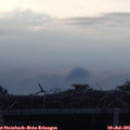 06_35-mast.jpg