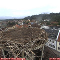 06_35-nest.jpg