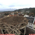 06_40-nest.jpg