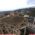06_50-nest.jpg