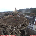 07_00-nest.jpg