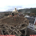 07_05-nest.jpg