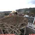 07_10-nest.jpg