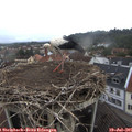07_20-nest.jpg
